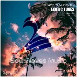 Album cover of Soul Waves Music pres. Exotic Tunes
