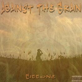 Album picture of Against The Grain