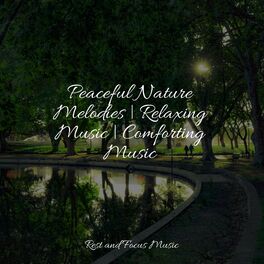 Album cover of Peaceful Nature Melodies | Relaxing Music | Comforting Music