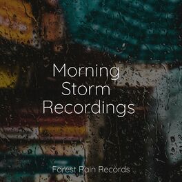 Album cover of Morning Storm Recordings