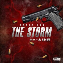 Album cover of The Storm (feat. DJ Drama)