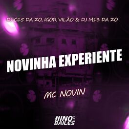 Album cover of Novinha Experiente