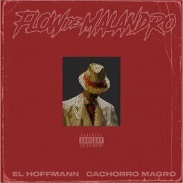 Album cover of Flow de Malandro