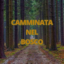 Album cover of Camminata nel bosco