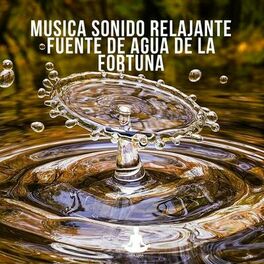 Album cover of Musica sonido relajante fuente de agua de la fortuna
