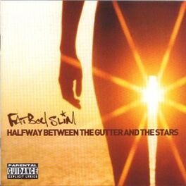 Album cover of Halfway Between The Gutter And The Stars