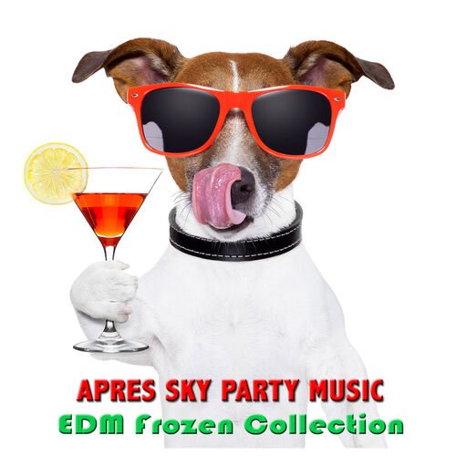 Apres Ski Party Music Edm Collective Musique Electro Pour Faire L Amour Deep House Listen With Lyrics Deezer