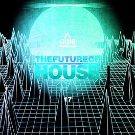 Album cover of The Future of House, Vol. 17