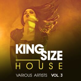 Album cover of King Size House, Vol. 3