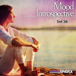 Album cover of Mood Introspective, Set 36