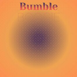 Album cover of Bumble Boogie