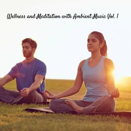Album cover of Wellness and Meditation with Ambient Music Vol. 1