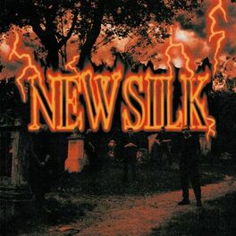 Album cover of New Silk