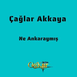Album cover of Ne Ankaraymış