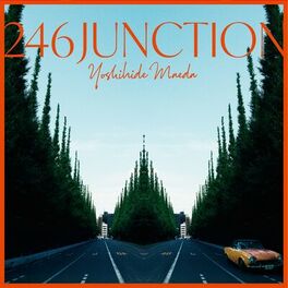 Album cover of 246JUNCTION