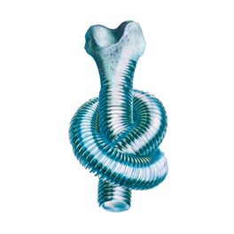 Album cover of LA FORMA DE TUS HUESOS