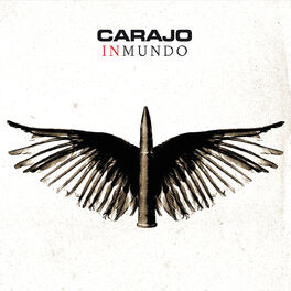 Album picture of Inmundo