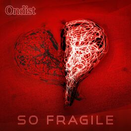 Album cover of So Fragile