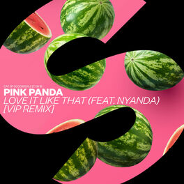 Album cover of Love It Like That (feat. Nyanda) (VIP Remix)