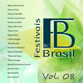 Album cover of Festivais do Brasil, Vol. 08