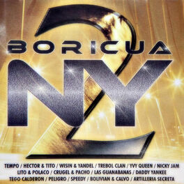 Album cover of Boricua Ny 2