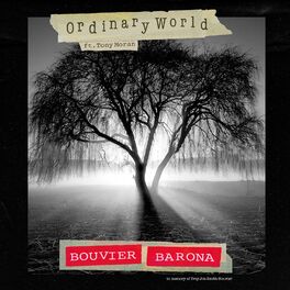 Album cover of Ordinary World