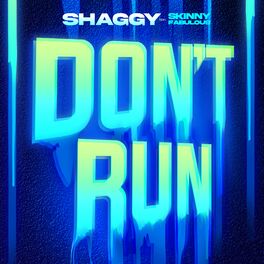 Album cover of Don't Run (feat. Skinny Fabulous)