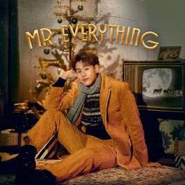 Album cover of Mr. Everything