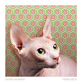 Album cover of Pense-bête