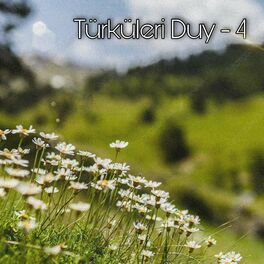 Album cover of Türküleri Duy 4