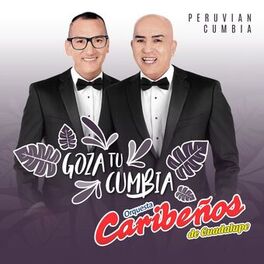 Album cover of Goza Tu Cumbia: Peruvian Cumbia