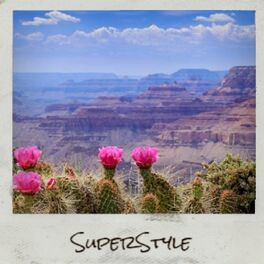 Album cover of Superstyle