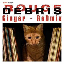 Album picture of Ginger (Redmix)