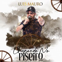 Album cover of Chegando No Piseiro
