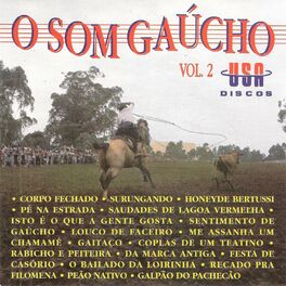 Album cover of O Som Gaúcho, Vol. 2