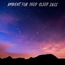 Album cover of Ambient for Deep Sleep 2022
