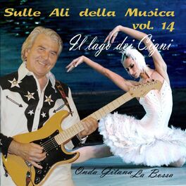 Album cover of Sulle ali della musica, Vol. 14
