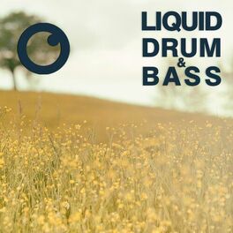 Album cover of Liquid Drum & Bass Sessions 2021 Vol 47 : The Mix