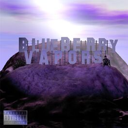 Album cover of Blueberry Vapors
