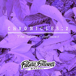 Album cover of Chronicles 2 : The Story Continues