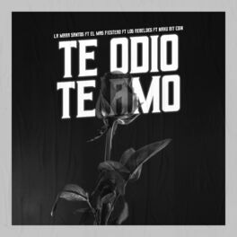 Album cover of Te Odio Te Amo