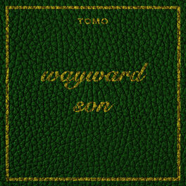 Album cover of Wayward Son