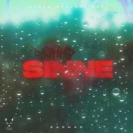 Album cover of Sinne