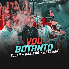 Album cover of Vou Botando