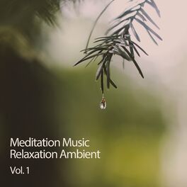 Album cover of Meditation Music Relaxation Ambient Vol. 1
