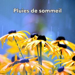 Album cover of Pluies De Sommeil (Sons De Pluie Pour S'endormir)