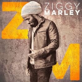 Album cover of Ziggy Marley
