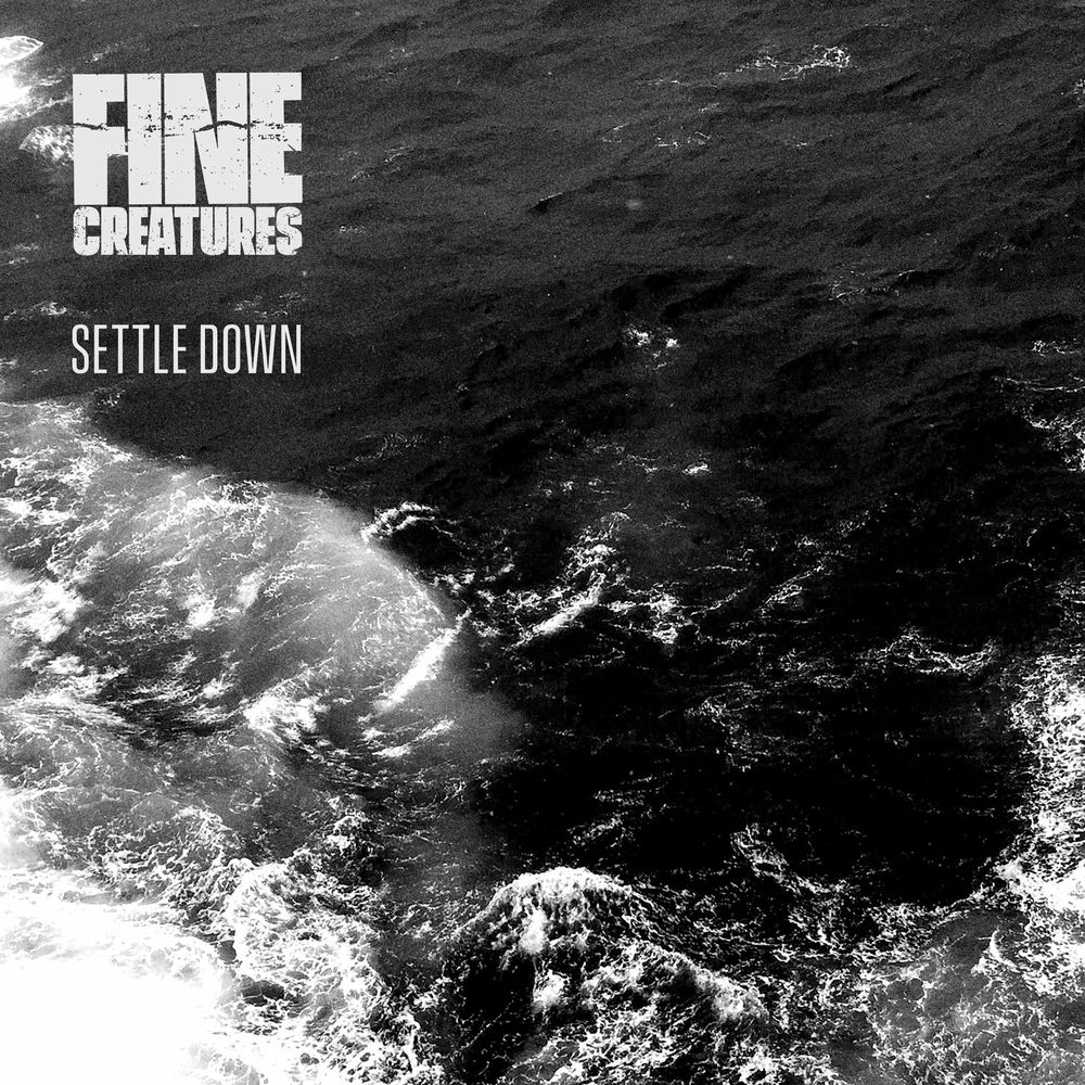 Песня settle down. Settle down.