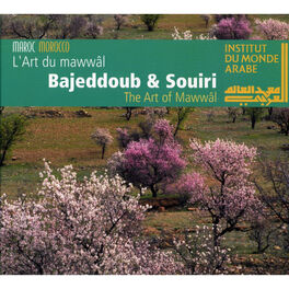 Album cover of The Art of Mawwâl (Maroc) (Live at Institut du monde arabe, Paris, 13/06/2001)