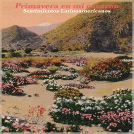 Album cover of Primavera En Mi Corazón - Sentimientos Latinoamericanos